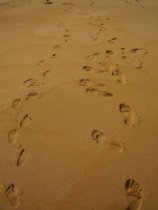 Footprints in the Sand 2